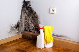 Best Environmental Consulting for Mold Prevention  in Friendship Heights Village, MD